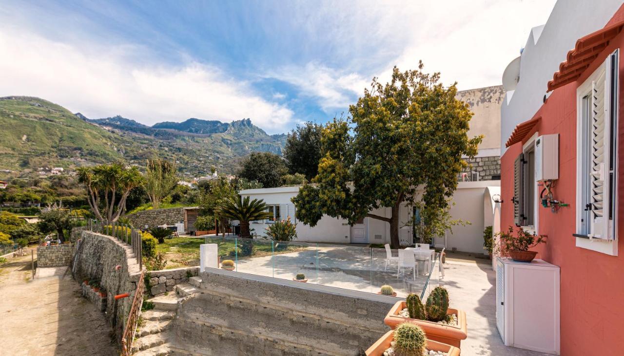 Vila Casa Degli Aranci Forio di Ischia Exteriér fotografie